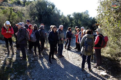 Cliquer pour voir l'image en taille réelle