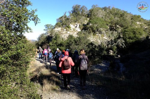 Cliquer pour voir l'image en taille réelle