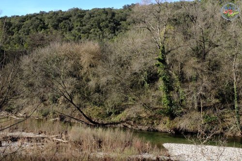 Cliquer pour voir l'image en taille réelle