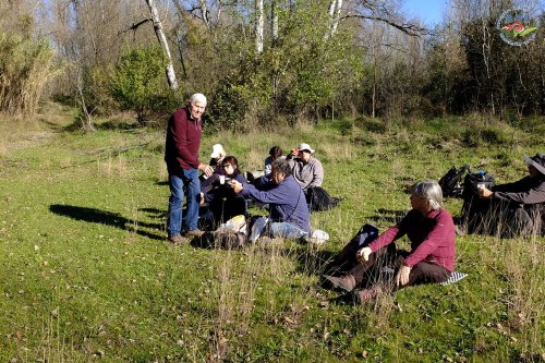 Cliquer pour voir l'image en taille réelle