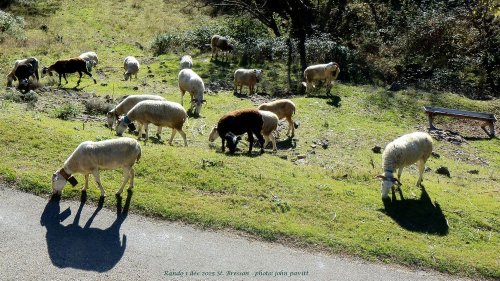 Cliquer pour voir l'image en taille réelle
