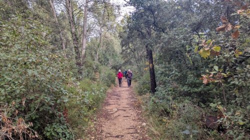 Cliquer pour voir l'image en taille réelle