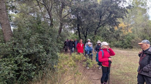 Cliquer pour voir l'image en taille réelle