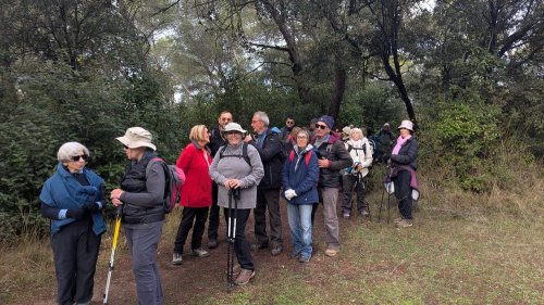 Cliquer pour voir l'image en taille réelle