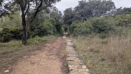 Cliquer pour voir l'image en taille réelle