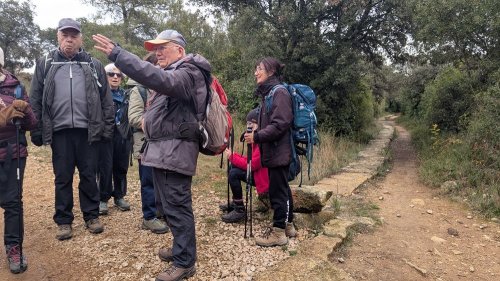 Cliquer pour voir l'image en taille réelle