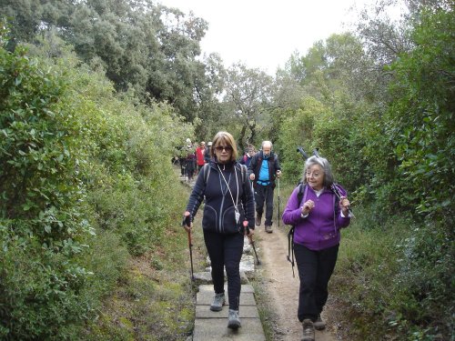 Cliquer pour voir l'image en taille réelle