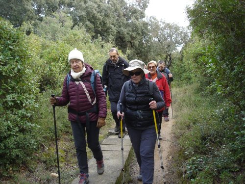 Cliquer pour voir l'image en taille réelle