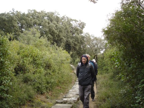 Cliquer pour voir l'image en taille réelle