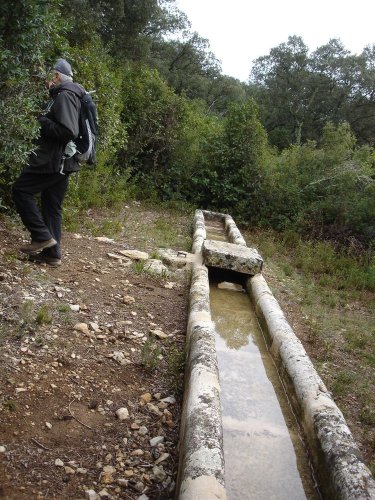 Cliquer pour voir l'image en taille réelle