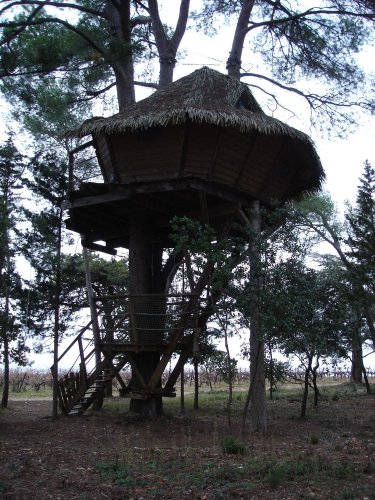 Cliquer pour voir l'image en taille réelle