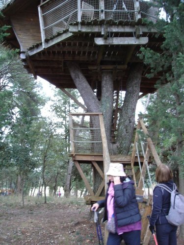 Cliquer pour voir l'image en taille réelle