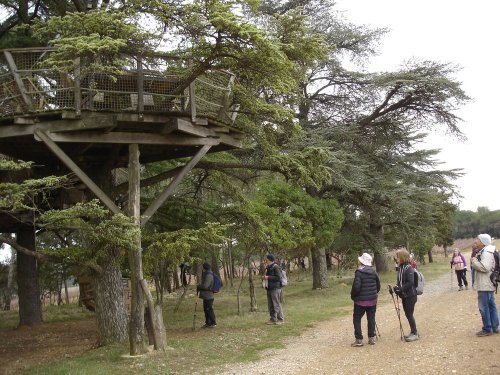 Cliquer pour voir l'image en taille réelle