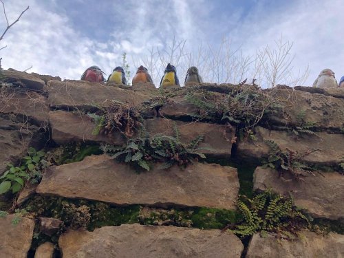 Cliquer pour voir l'image en taille réelle