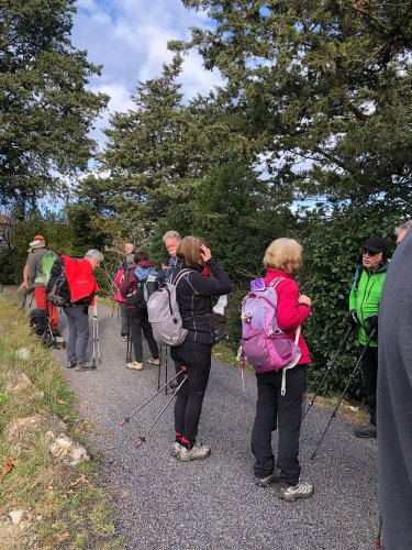 Cliquer pour voir l'image en taille réelle