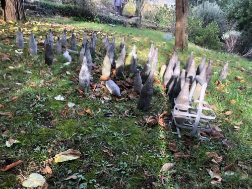 Cliquer pour voir l'image en taille réelle