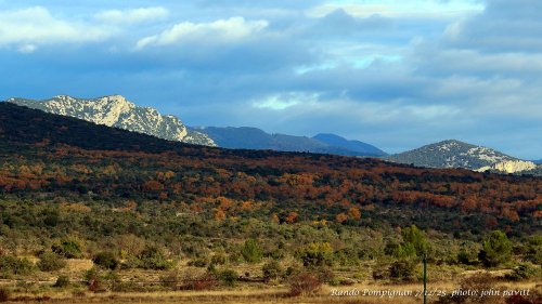 Cliquer pour voir l'image en taille réelle