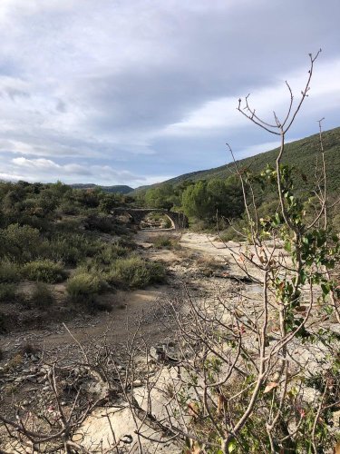 Cliquer pour voir l'image en taille réelle