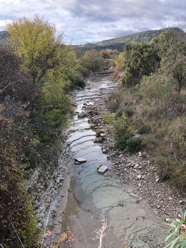 Cliquer pour voir l'image en taille réelle