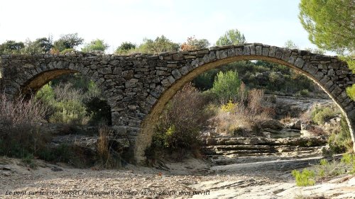 Cliquer pour voir l'image en taille réelle