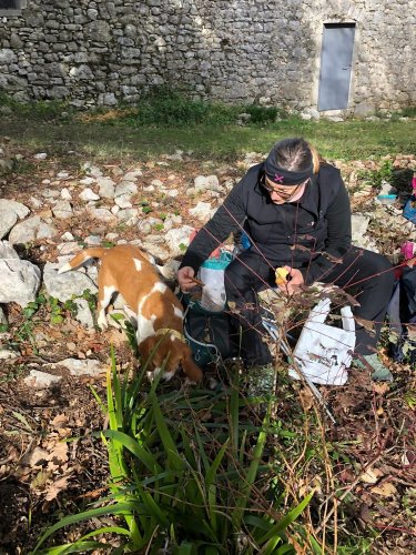 Cliquer pour voir l'image en taille réelle