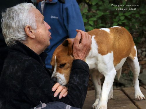 Cliquer pour voir l'image en taille réelle