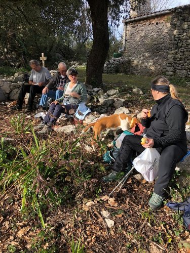 Cliquer pour voir l'image en taille réelle