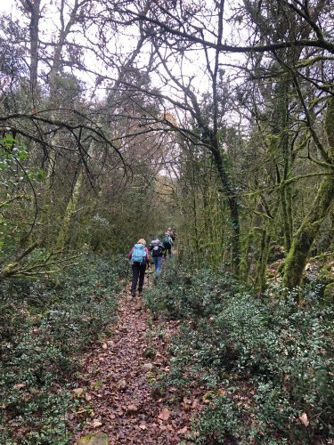 Cliquer pour voir l'image en taille réelle