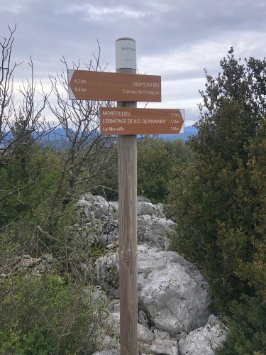 Cliquer pour voir l'image en taille réelle