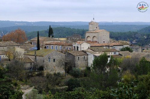 Cliquer pour voir l'image en taille réelle