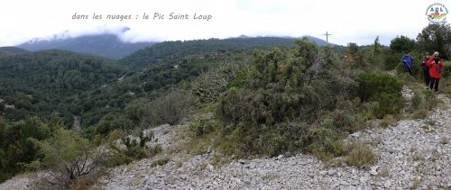 Cliquer pour voir l'image en taille réelle