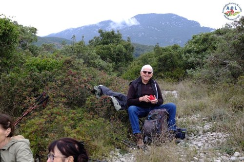 Cliquer pour voir l'image en taille réelle