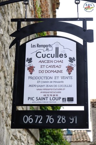 Cliquer pour voir l'image en taille réelle