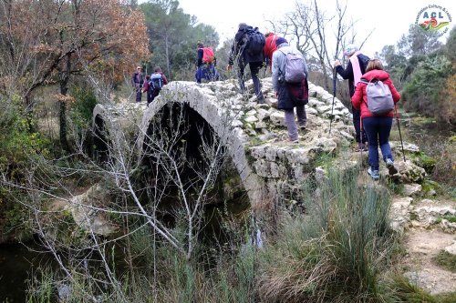 Cliquer pour voir l'image en taille réelle