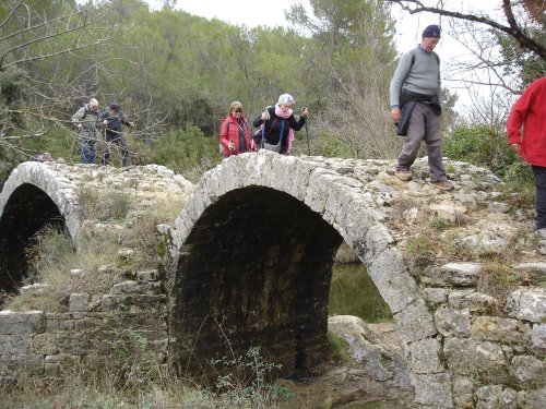 Cliquer pour voir l'image en taille réelle