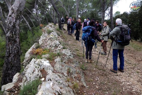 Cliquer pour voir l'image en taille réelle