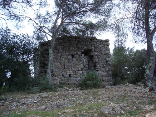 Cliquer pour voir l'image en taille réelle