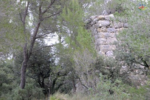 Cliquer pour voir l'image en taille réelle