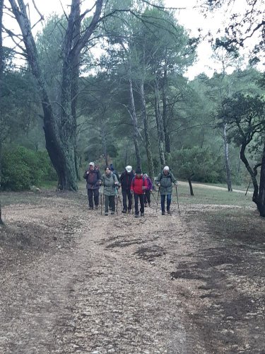 Cliquer pour voir l'image en taille réelle