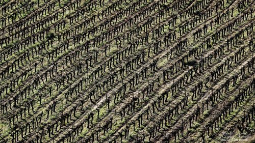 Cliquer pour voir l'image en taille réelle