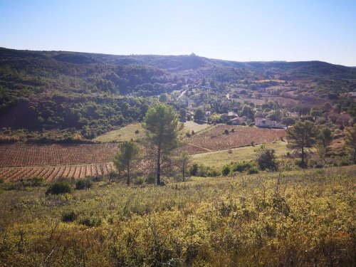 Cliquer pour voir l'image en taille réelle