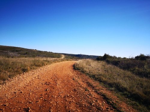 Cliquer pour voir l'image en taille réelle