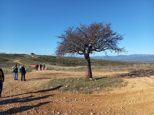 Cliquer pour voir l'image en taille réelle