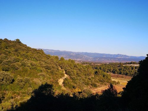 Cliquer pour voir l'image en taille réelle