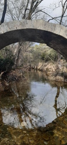 Cliquer pour voir l'image en taille réelle