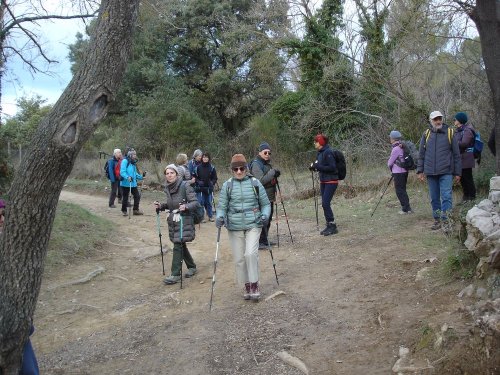 Cliquer pour voir l'image en taille réelle