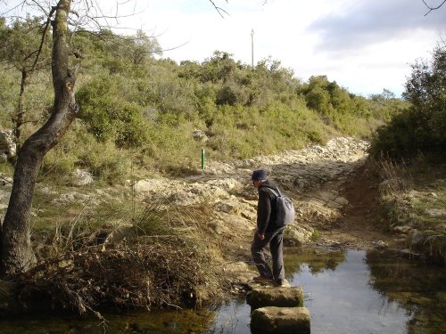 Cliquer pour voir l'image en taille réelle