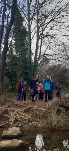 Cliquer pour voir l'image en taille réelle