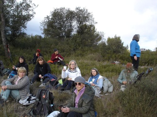 Cliquer pour voir l'image en taille réelle