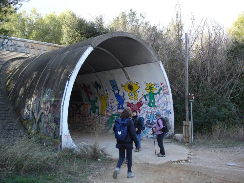 Cliquer pour voir l'image en taille réelle